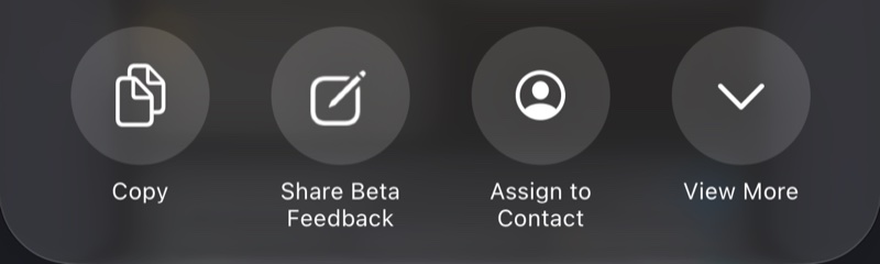 The share sheet's row of round buttons: Copy, Share Beta Feedback, Assign to Contact, View More